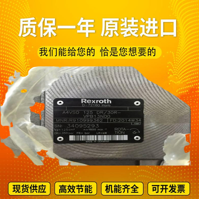 A4VSO180LR2/22R-VPB13N00 A4VSO250DRG/30R-PPB13N00 Rexroth พริสตันปั๊มปั๊มปั๊มปั๊มปั๊มปั๊ม