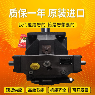 A4VSO180DR/22L-PPB13N00		A4VSO250EO1/30L-PPB13N00 InjectionmoldingmachineplungerpumphydraulicRexrothmotor