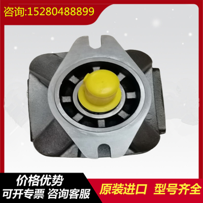 PGH3-1X/013RE47ME4 PGH4-2X/020RF11VK0 Rexroth PGH Series Gear High-Pressure Oil Pump Ductileiron