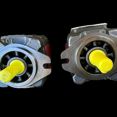 PGH5-2X/200LR07VU2 PGH4-2X/025LF11VK0 Rexroth Gear Pump Cast Iron High Pressure Steel Plant Coal Mine