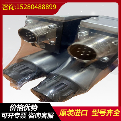 R900587552	SV30GA1-4X Rexroth   plunger  pump  brand  new  original  variable  gear pump
